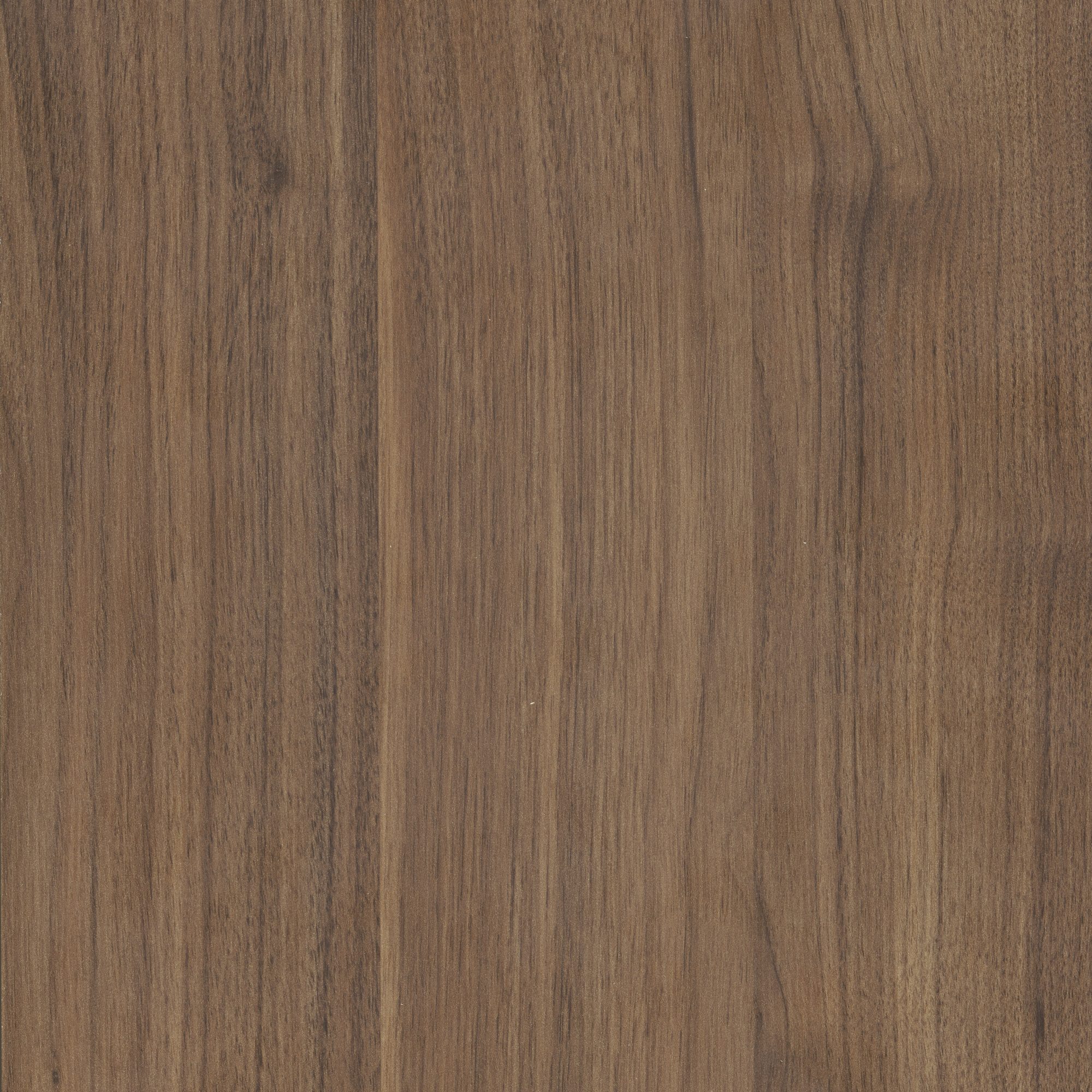Lacquer | Miralis Lacquer | Miralis